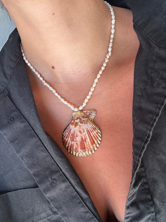 Shell Necklace
