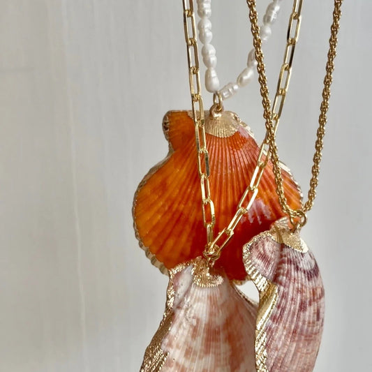 Shell Necklace