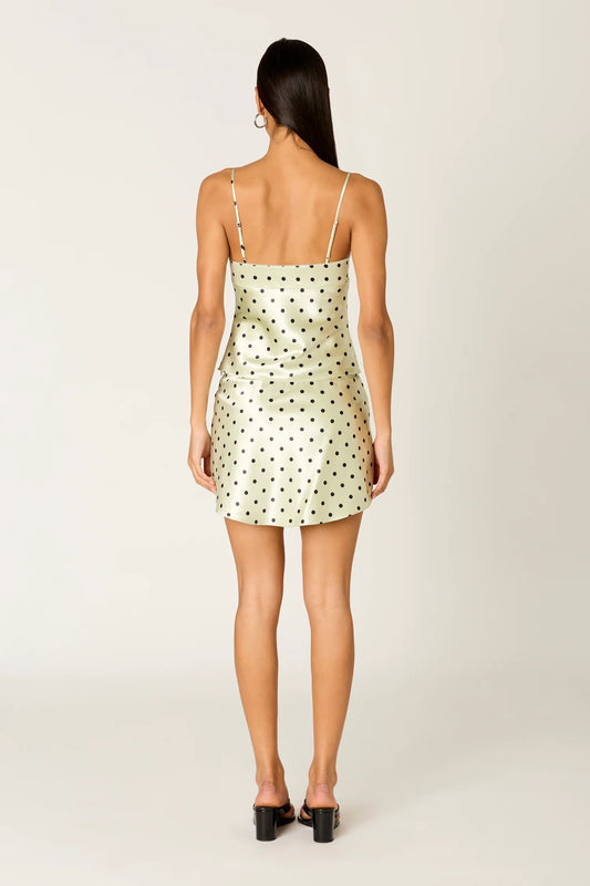 avalon polka top