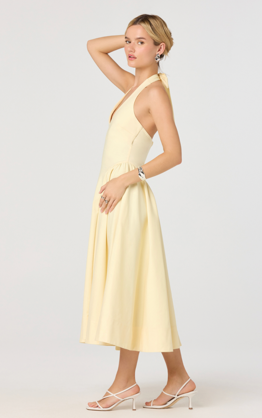 meana midi dress